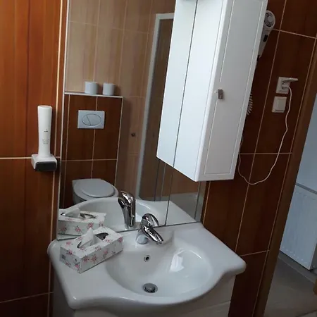 Pletna Apartment